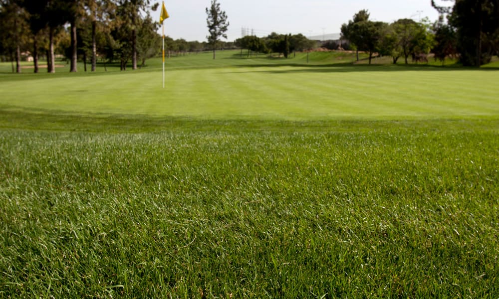 APLICACIÓN EN CAMPOS DE GOLF